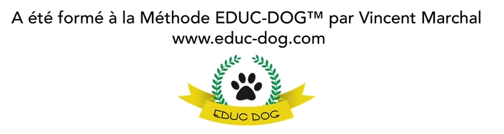 Formé par Vincent Marchal d'educ-doc.com
