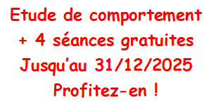 Profitez de la promotion